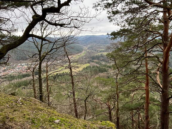 24-03-01 11-28-35 8861